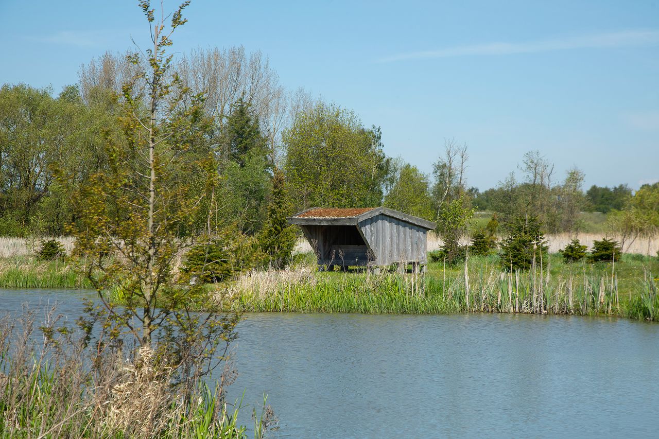 image 04